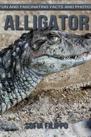 Cover of Alligator