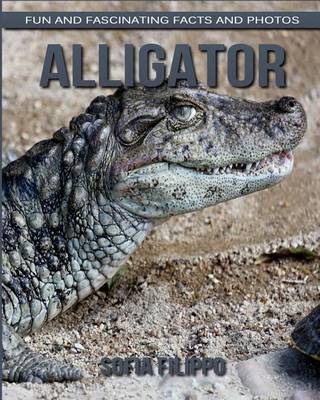 Book cover for Alligator