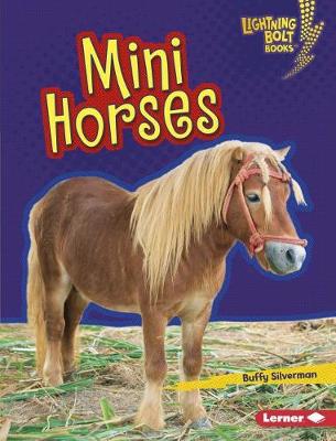 Book cover for Mini Horses