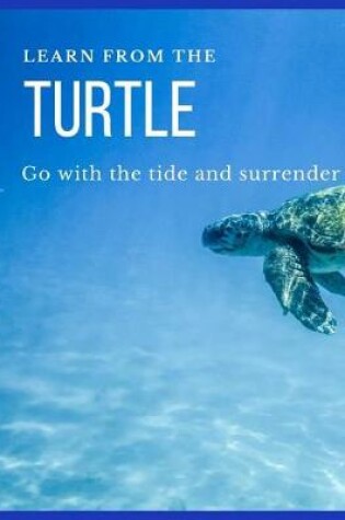 Cover of Learn from the Turtle