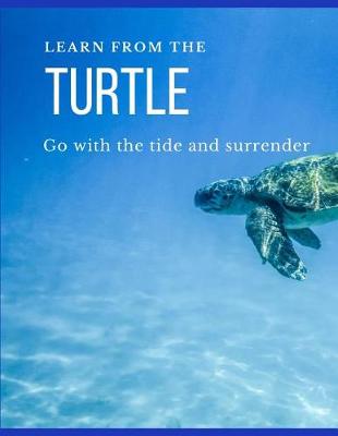 Book cover for Learn from the Turtle