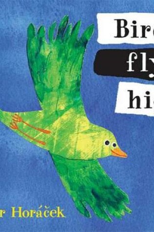 Cover of Bird, Fly High