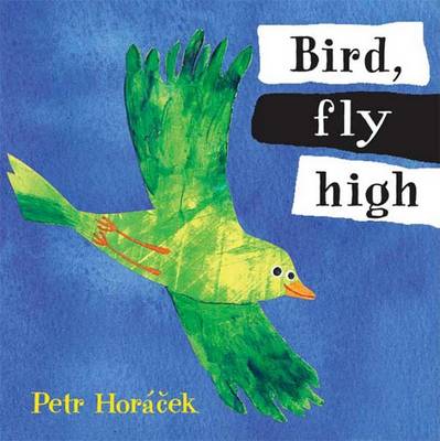 Book cover for Bird, Fly High
