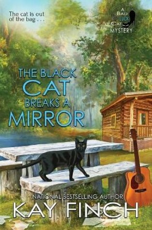 Cover of The Black Cat Breaks a Mirror