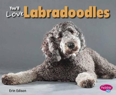 Book cover for You'll Love Labradoodles