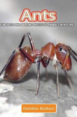 Cover of Ants