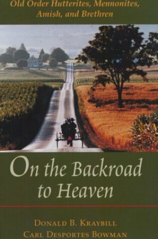 Cover of On the Backroad to Heaven