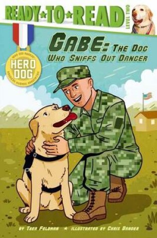 Cover of Gabe