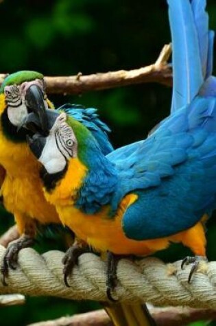 Cover of Blue and Gold Macaw Parrots Pair on a Rope Journal