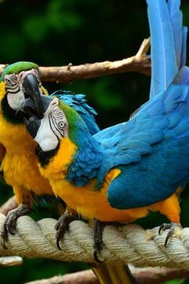 Book cover for Blue and Gold Macaw Parrots Pair on a Rope Journal