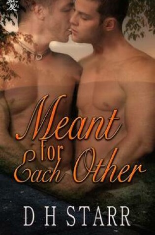 Cover of Meant For Each Other