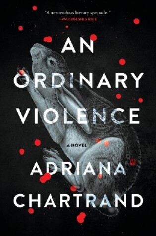 Cover of An Ordinary Violence