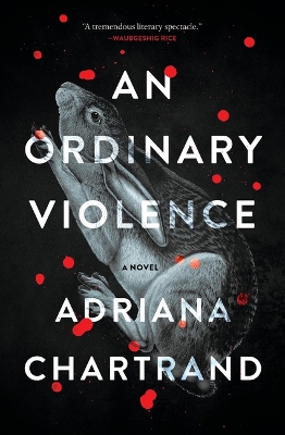 Book cover for An Ordinary Violence