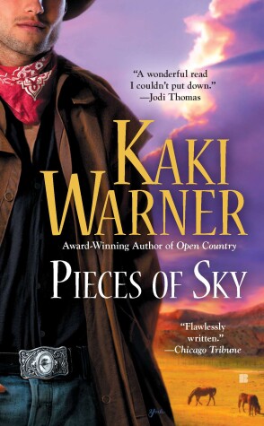 Book cover for Pieces Of Sky