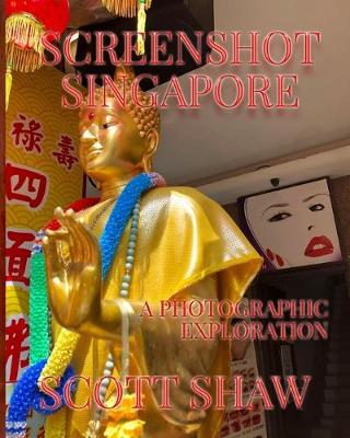 Book cover for Screenshot Singapore