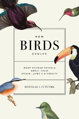 Book cover for How Birds Evolve