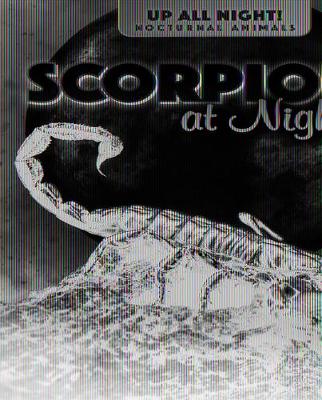 Cover of Scorpions at Night