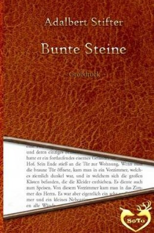 Cover of Bunte Steine - Grossdruck