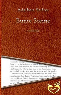 Book cover for Bunte Steine - Grossdruck