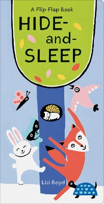Book cover for Hide-and-Sleep
