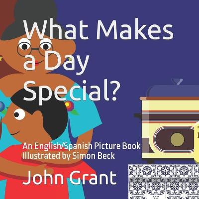 Book cover for What Makes a Day Special?