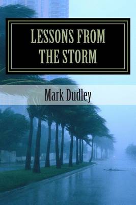 Book cover for Lessons from the Storm