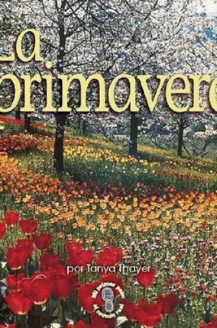 Cover of La Primavera