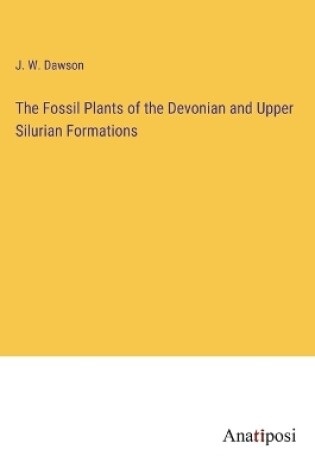 Cover of The Fossil Plants of the Devonian and Upper Silurian Formations