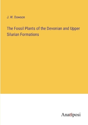 Book cover for The Fossil Plants of the Devonian and Upper Silurian Formations