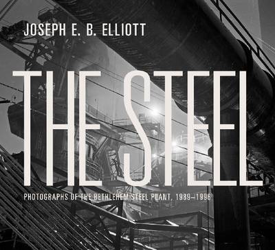 Book cover for The Steel