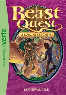 Book cover for Beast Quest 16 - Le Cheval Aile