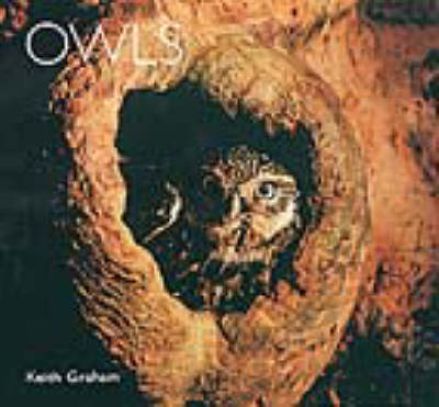 Cover of Owls