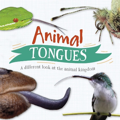 Book cover for Animal Tongues