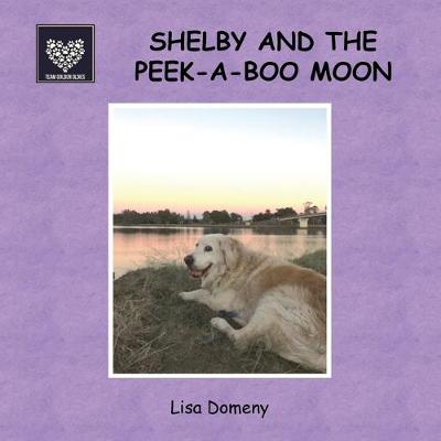 Book cover for Shelby and the Peek-A-Boo Moon