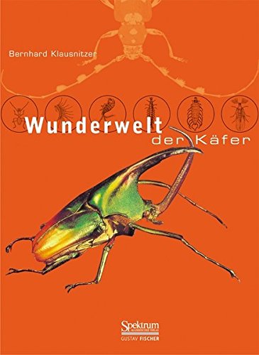 Book cover for Wunderwelt Der Kafer