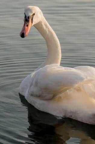 Cover of Enough with the Swan Lake Jokes, Buddy - You're Not That Funny Journal