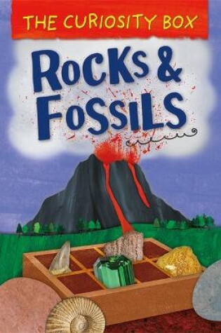 Cover of The Curiosity Box: Rocks and Fossils