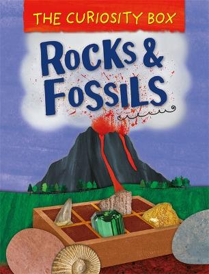 Cover of The Curiosity Box: Rocks and Fossils