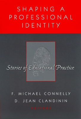 Book cover for Shaping a Personal Identity