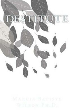 Cover of Destitute