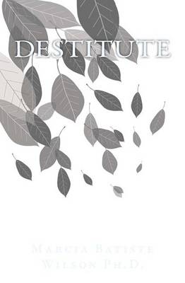 Book cover for Destitute