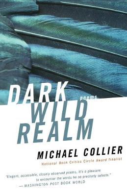 Book cover for Dark Wild Realm