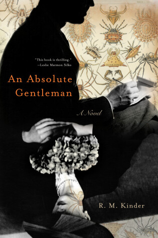 Cover of An Absolute Gentleman