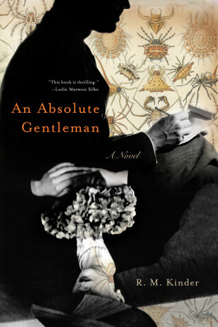 Book cover for An Absolute Gentleman