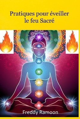 Cover of Pratiques Pour Eveiller Le Feu Sacré