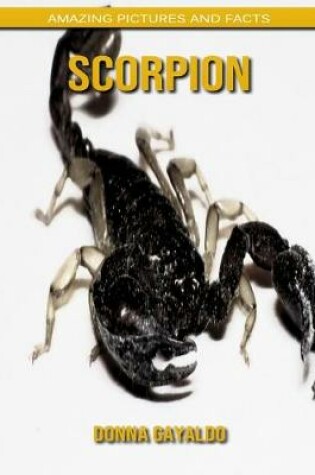 Cover of Scorpion