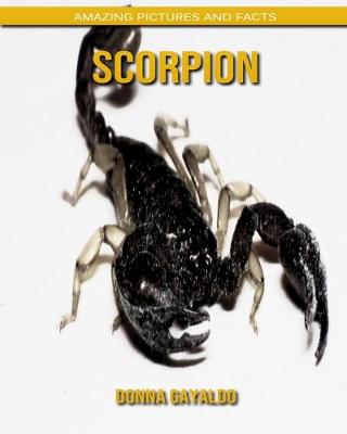 Book cover for Scorpion