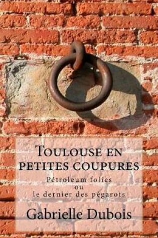 Cover of Toulouse en petites coupures