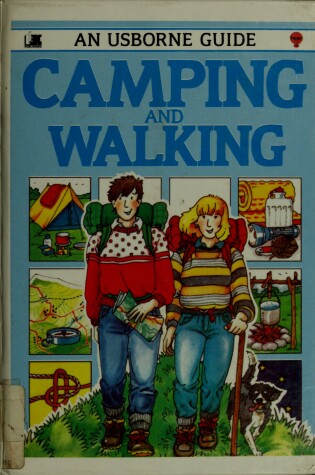 Cover of An Usborne Guide to Camping and Walking