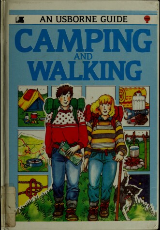 Book cover for An Usborne Guide to Camping and Walking